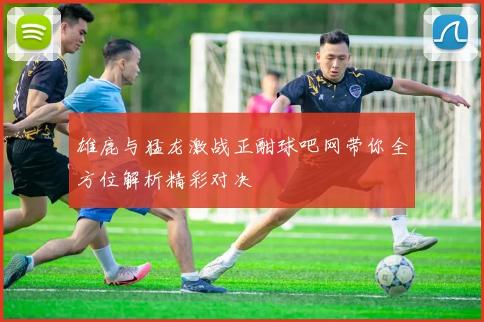 雄鹿与猛龙激战正酣球吧网带你全方位解析精彩对决