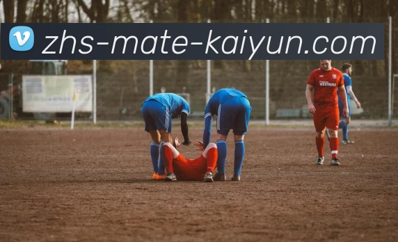 数据防护可视化